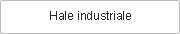 Hale industriale